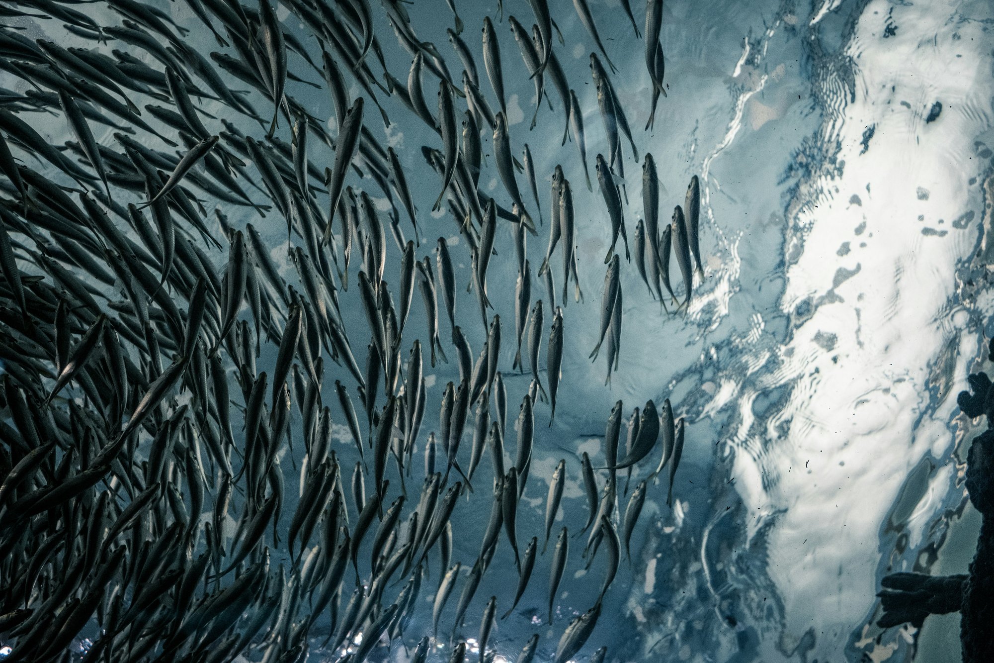 lance-anderson-G2SDLsJp3rg-unsplash