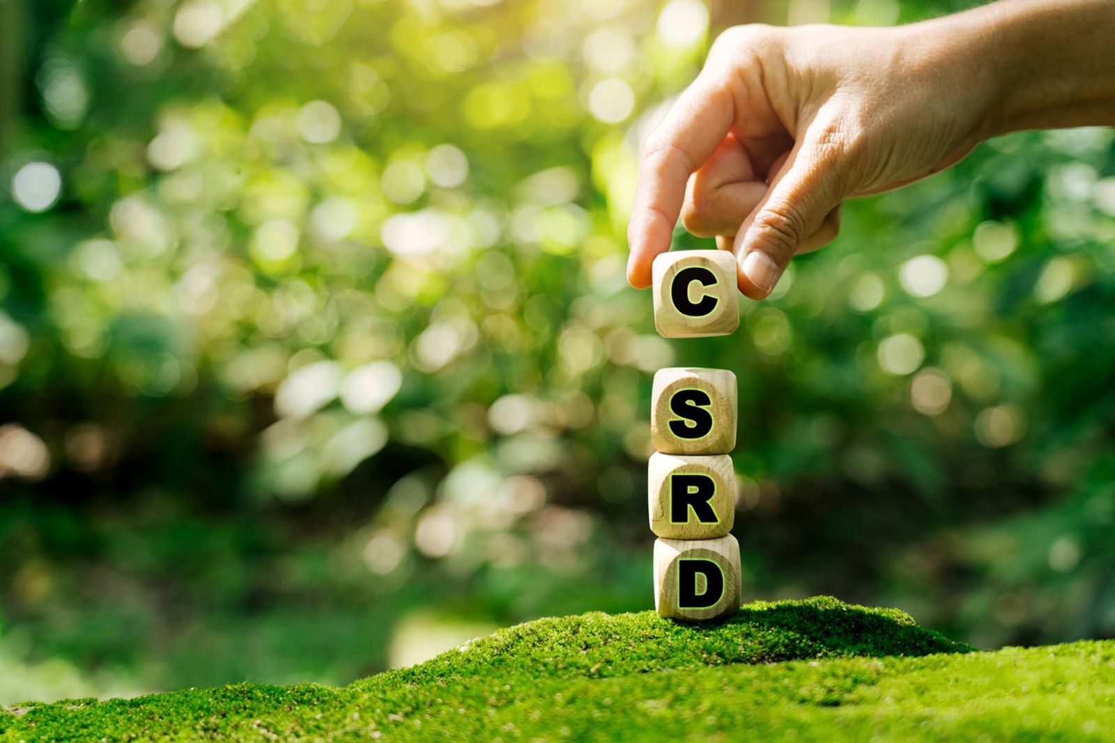What is CSRD? Understanding the EU’s Corporate Sustainability Reporting Directive (Updated 2026)