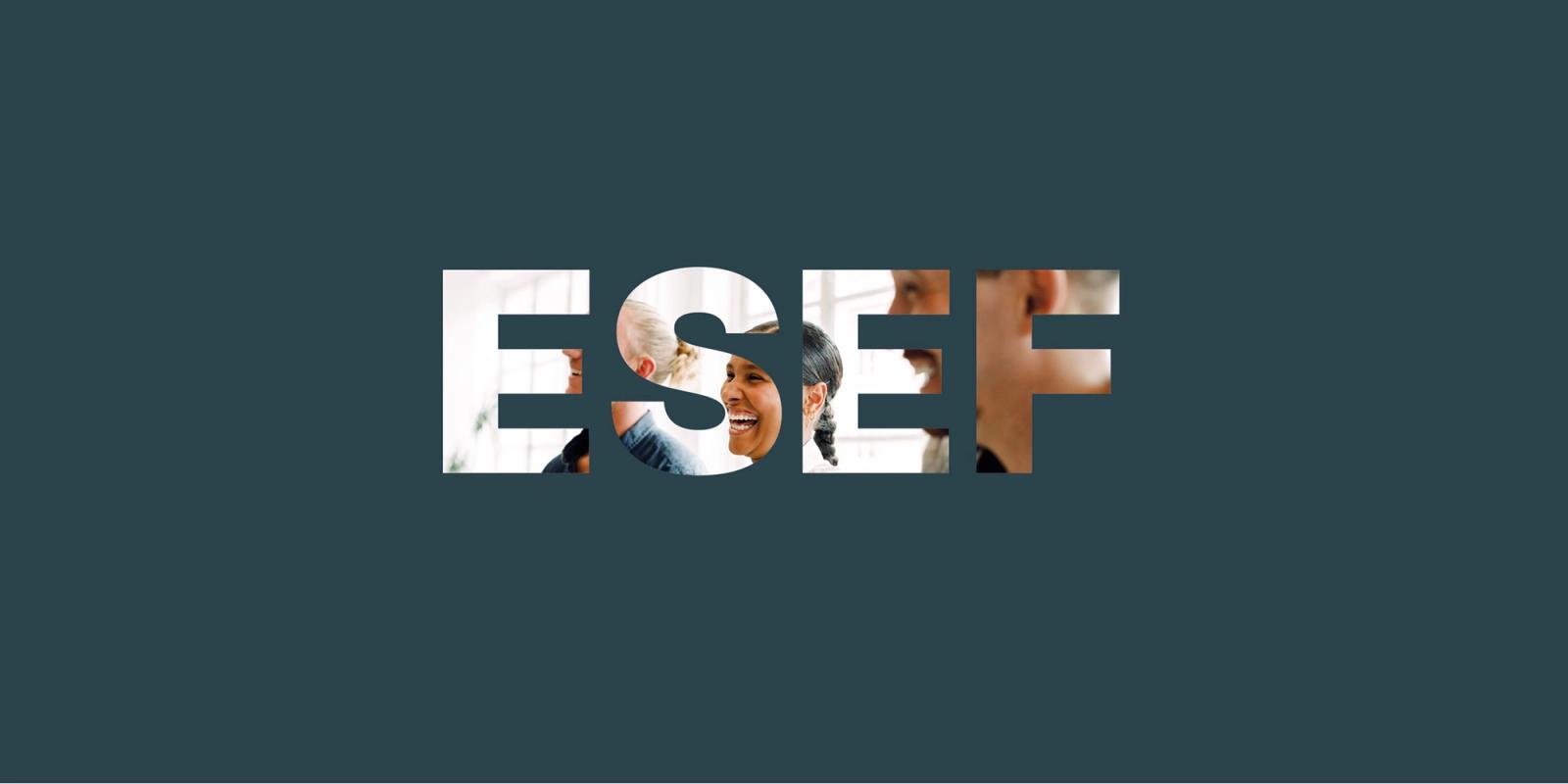 What is ESEF (European Single Electronic Reporting)?