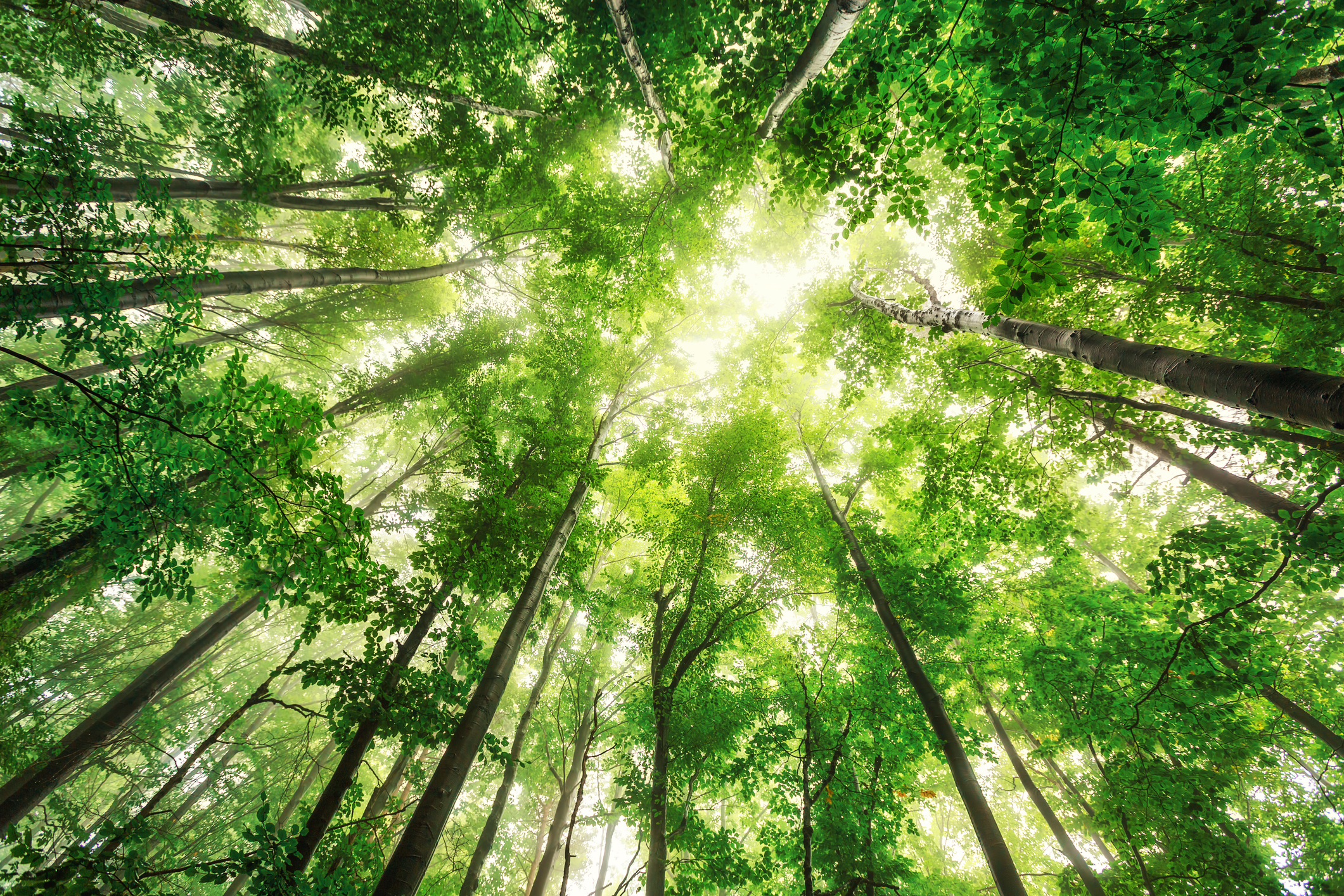Recording: Navigating the ESRS Taxonomy and the path to a CSRD compliant report
