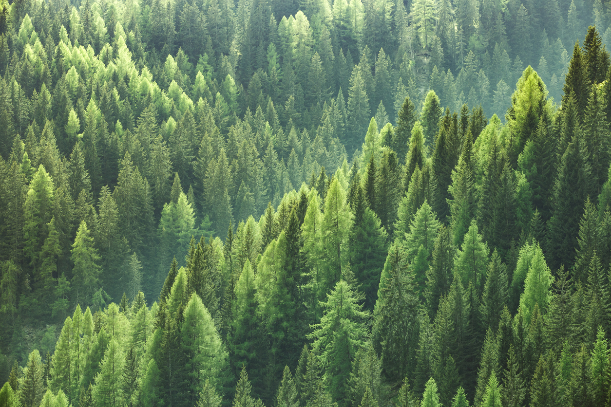 The sustainability report's most important stakeholders