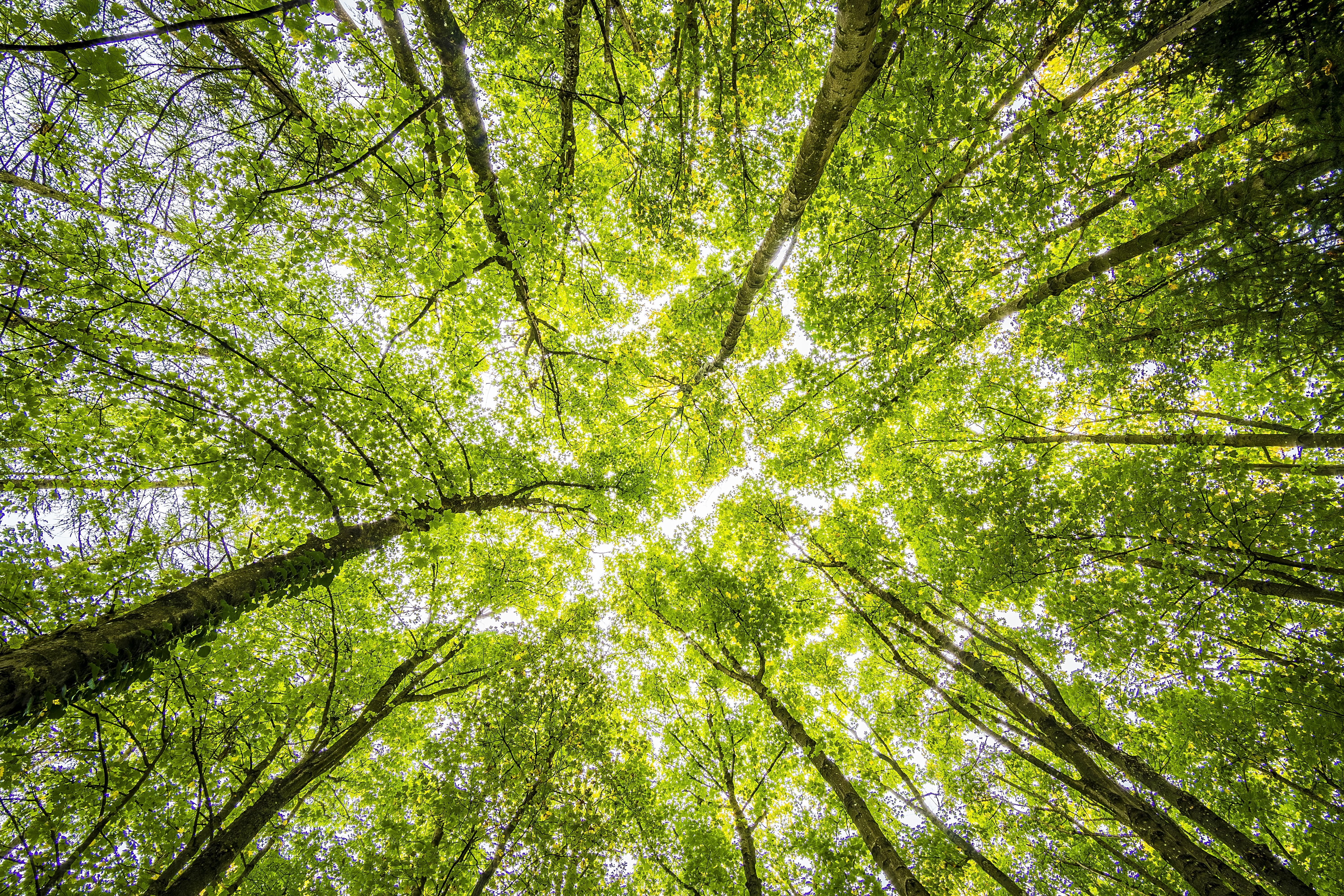 Sustainability report design: beyond hard data & compelling stories