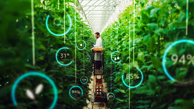 How to prevent greenwashing in corporate reporting