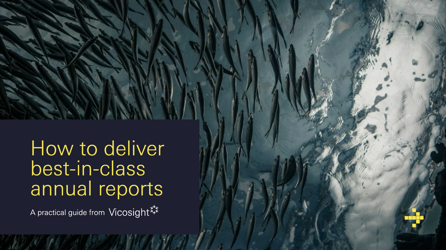 Deliver best-in-class annual reports: a Vicosight whitepaper